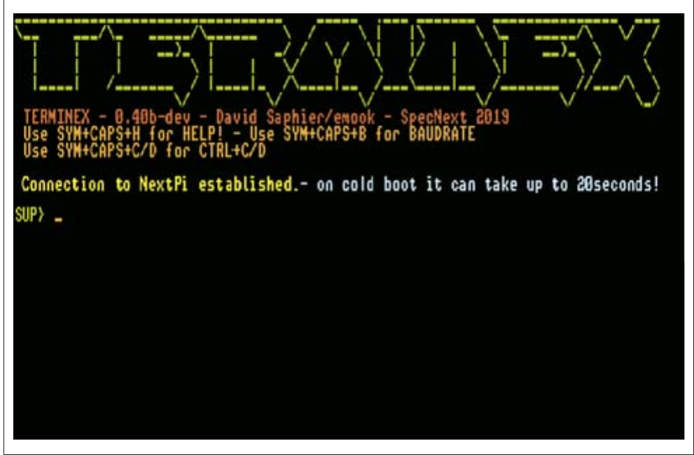 Fig. 45 – RPi Supervisor prompt via Terminex